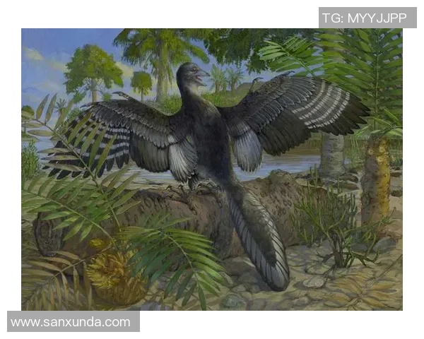 探索亚沙的魅力与风采揭示其背后的文化与历史故事